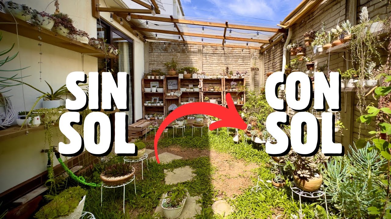 ☀️Si el SOL NO LLEGA a ti, llega tú al SOL! TIPS para REUBICAR tus suculentas 🪷