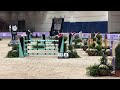 CSI5*-W Verona (ITA): Vancouver Dreams & Max Kühner (AUT/T)