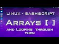 7 BashScript - Arrays