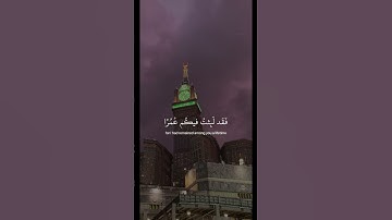 ﴿ قُل لو شاء الله ماتلوته عليكم ولا ادراكم به ﴾ سوره يونس، عبدالرحمن مسعد #قرآن #ارح_قلبك #قران_كريم