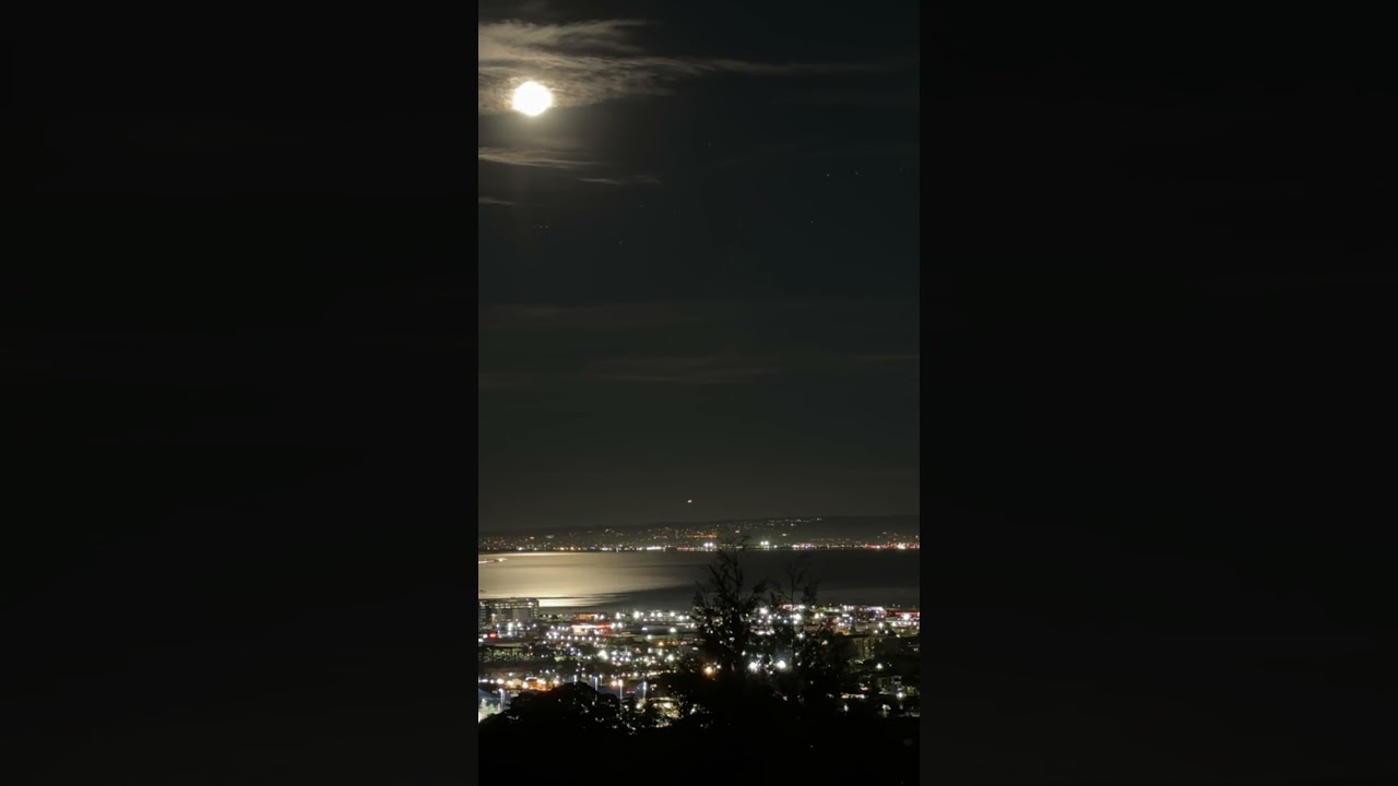 Mesmerizing plane landings. 