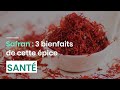 Safran  3 bienfaits de cette pice