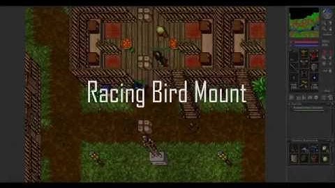 Tibia: Racing Bird Mount, en Español