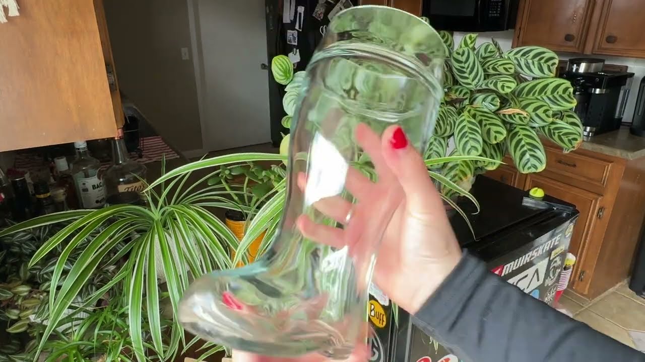Glass Beer Boot Mug for Oktoberfest