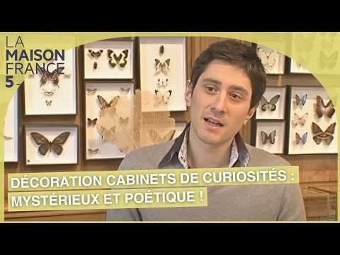 Décoration de cabinets de curiosités : Mystérieux et poétique ! #LMF5
