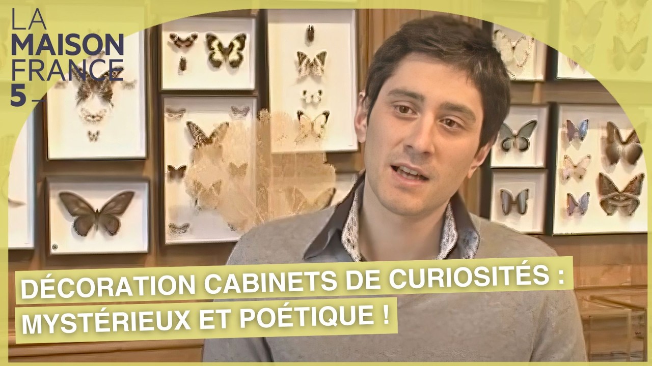 Décoration de cabinets de curiosités : Mystérieux et poétique ! 