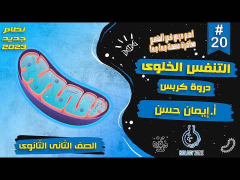  شرح دورة كربس شرح درس التنفس الخلوي احياء تانيه ثانوى الترم الاول  إيمان حسن