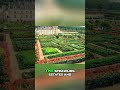 10-Minute Hydroponic Garden: Fresh Food Fast #shorts