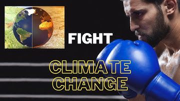 How YOU can combat deforestation & climate change