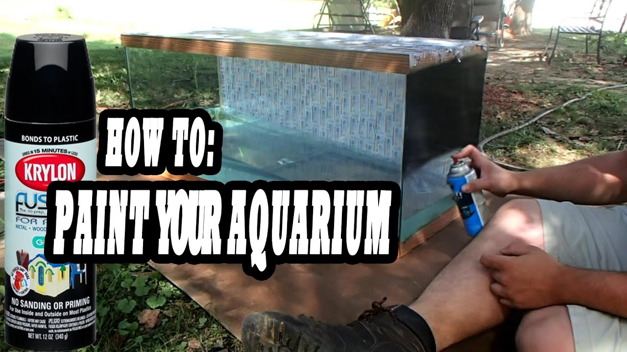 How To DIY Background Paint an Aquarium Background Properly updates on