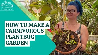 How To Make a Carnivorous Plant Bog