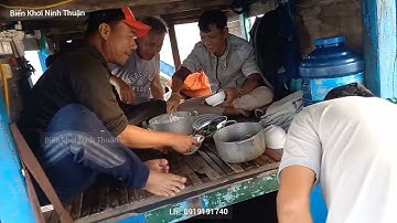 361) Câu Mực Đêm - Mực Ngò Mực Trủng Mực Óng Vùng Biển Vĩnh Hy