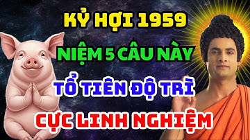Có Phúc 3 Đời Mới Biết! Kỷ Hợi 1959 Niệm 5 Câu Hồi Hướng Linh Nghiệm Giúp Cải Vận Gia Đạo Bình An