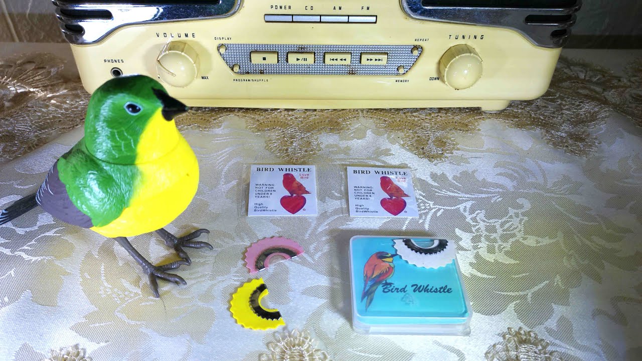 Bird whistle. Jam #1 Pandora Cat.
