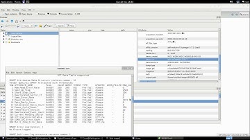 Forensic Image in Digital Forensic Framework