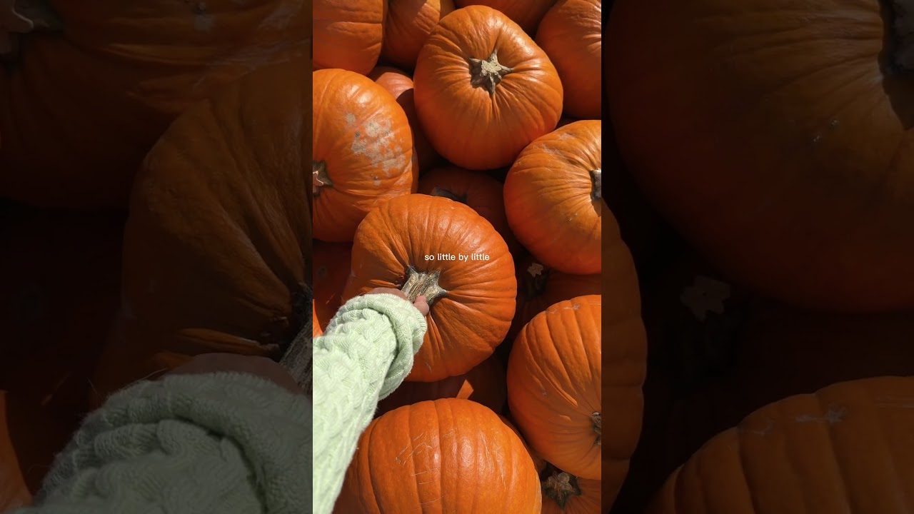 So little by little take those next steps, and create the life you’ve always wanted.