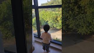 현우인생761일차 황사장 기차잘보이는 호텔에 놀러왔어요!!#육아 #아기모델 #아기 #baby #赤ん坊 #babyboy #아기브이로그 #밀양  #더반호텔