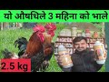    poultry nepal tv santosh adhikaripoultry farming local kukhura palan