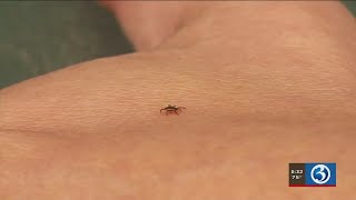 VIDEO: State scientists, Blumenthal, call for more funding to combat exploding tick population