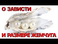 Сумерки богов. О ЗАВИСТИ И РАЗМЕРЕ ЖЕМЧУГА