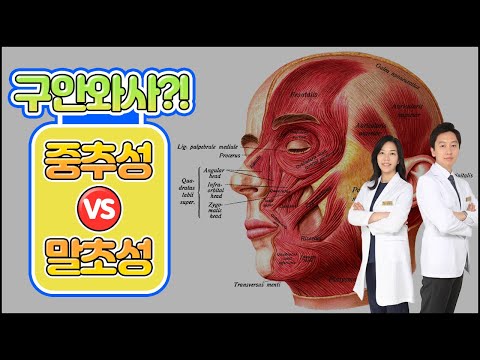 구안와사?!  중추성 vs 말초성마비 (태후한의원 서혁진 원장)