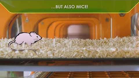 Tecniplast Digital Ventilated Cage DVC®