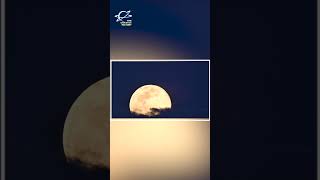 SUPERMOON ALERT 🌕 | First Full Moon of 2026 | Wolf Moon Explained #theuniversefactory #supermoon