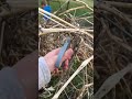 Ripping them out was HARD