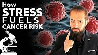 The Hidden Link Between STRESS and CANCER
