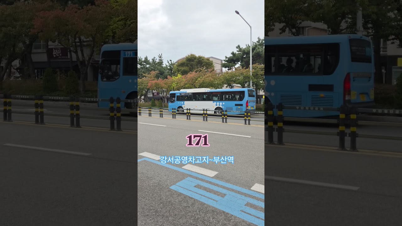 부산강서구명지 달리는 (부산 171번버스)