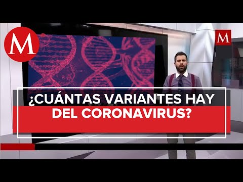 Video: ¿Cómo surgen las mutaciones, vale la pena esperar una nueva cepa de coronavirus?