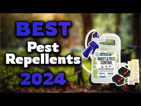 Top Best Pest