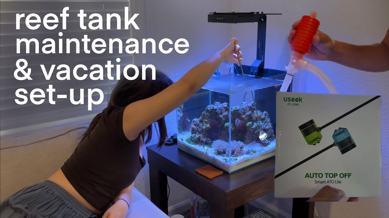 Nano Reef Tank Maintenance Routine + How We Leave It for Vacation: Nano ... - Simple Reef Aquarium Maintenance Routine