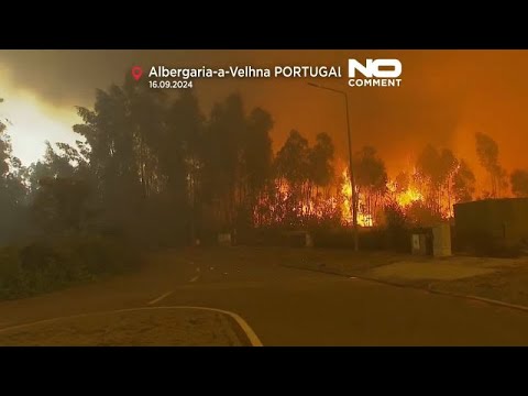 Incêndios florestais no