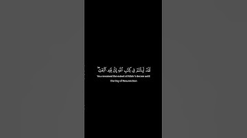 #سورة_الروم بصوت الشيخ #ياسر_الدوسري