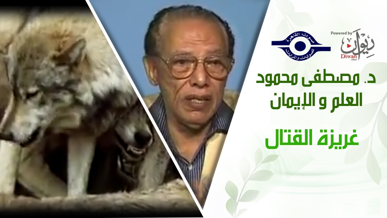 د. مصطفى محمود - العلم والإيمان - غريزة القتال