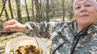В лес по грибы // первые грибы // весенние грибы //