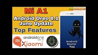How to update MI A1 Android version 8.1.0 screenshot 4