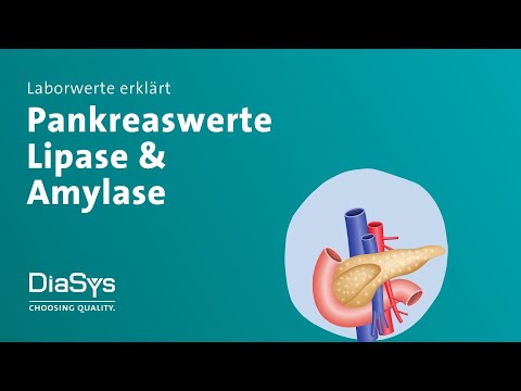 Video: Bei einem Bluttest, was ist Amylase?