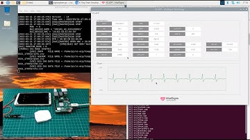 Create an ECG Monitor Software on  Raspberry Pi4 in 10 minutes with VS-ECG