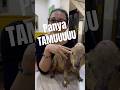 Panya Taaaamu Na Bongozozo Fujoisiyoumiza Bogata Colombia рџ Ёрџ ґ Panya Taaaamu Na Bongozozo Fujoisiyoumiza Bogata Colombia рџ Ёрџ ґ
