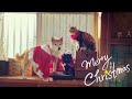 いつもより少しいい日を過ごした🎄　Christmas day