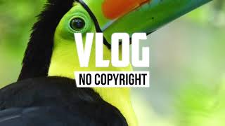MBB - Summer (Vlog No Copyright Music)