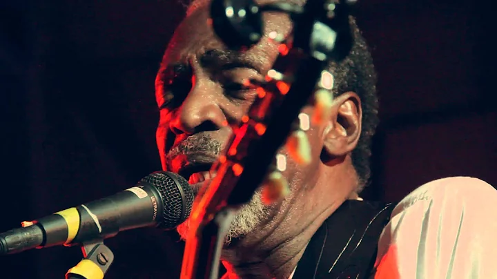 Donald Kinsey - Stir It Up
