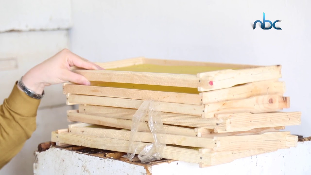 كيف يتم سحب العسل - بتعرف كيف - #1