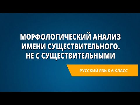 Морфологический анализ имени существительного. Не с существительными