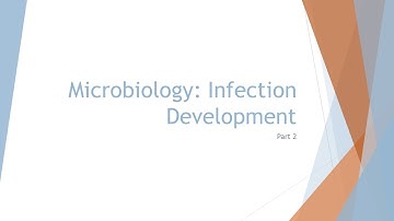 Microbiology Basics: The 6 Elements of an Infection
