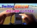 【チニング】10匹釣るのにどれくらいの時間がかかるのかわかる動画