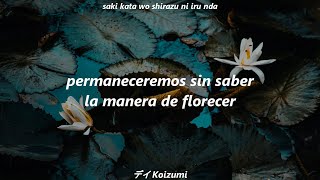 Watch Tatsuya Kitani Lotuses video