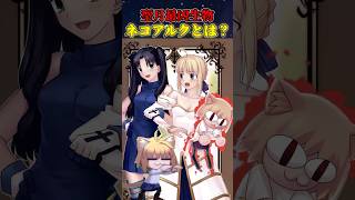 【月姫】公式すら制御不能のナマモノ ネコアルクについて解説#fate #fategrandorder #型月 #fgo #月姫 #necoarc